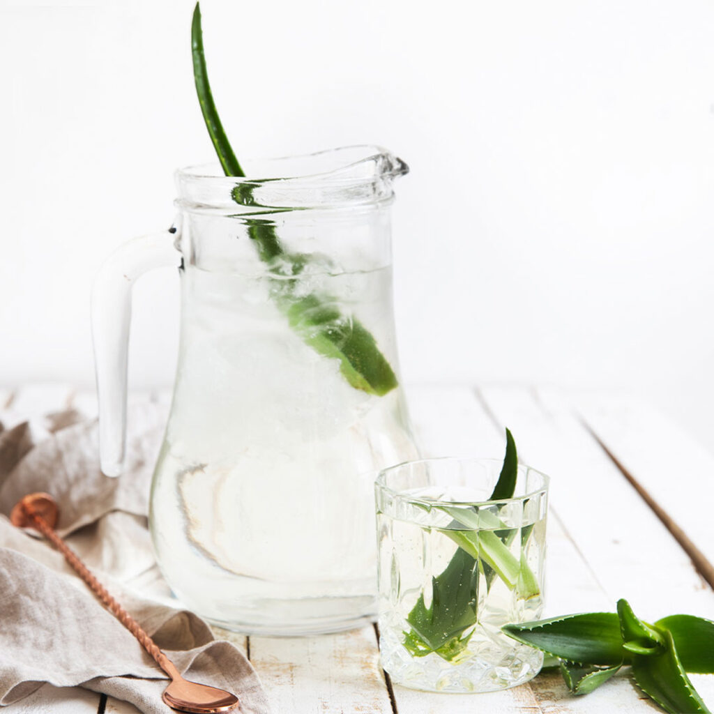 Aloe Vera Leaves